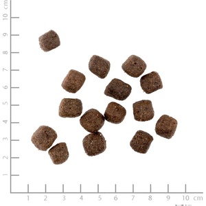 Wolfsblut Grey Peak Adult 2 kg