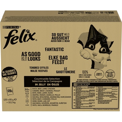 PURINA FELIX FANTASTIC Mix venkovských příchutí 120 x 85 g