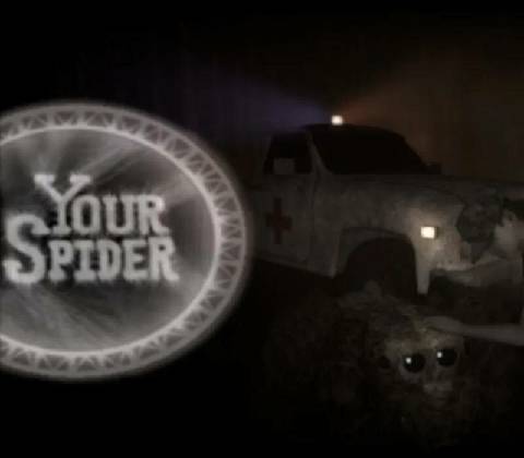 Your Spider
