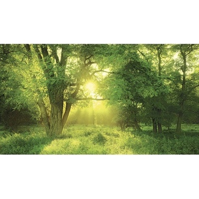 Obraz na plátně SlumberLight 180x100 cm
