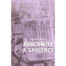 Auschwitz a spojenci