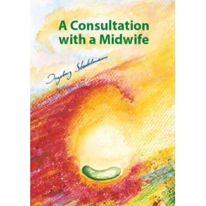 Consultation with a Midwife | Ingeborg Stadelmann (ISBN: 9783969140369)