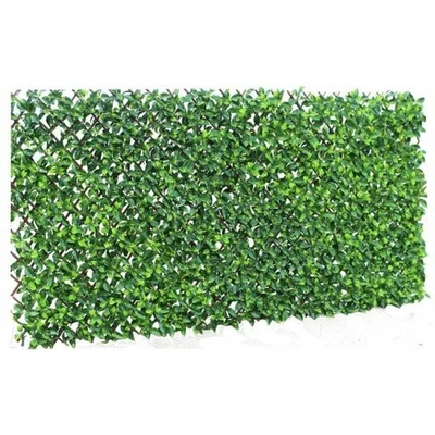 Китай Декоративна ограда Хармоника ЛУКС ПЛЮС - Гардения H=1.0 x L=2.0m