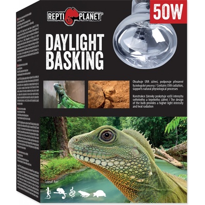 Repti Planet Daylight Basking Spot 50 W 007-41002 – Zbozi.Blesk.cz