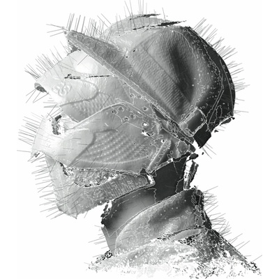 WOODKID: THE GOLDEN AGE LP