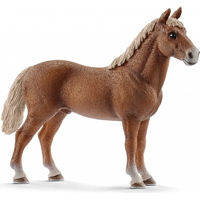 Schleich 13869 domáce zvieratko kôň Morgan žrebec