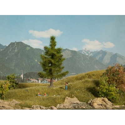 Noch Smrk – Zbozi.Blesk.cz