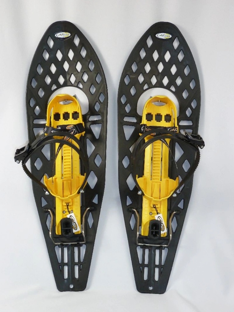 Morpho Bigfoot