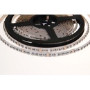 T-LED 082401