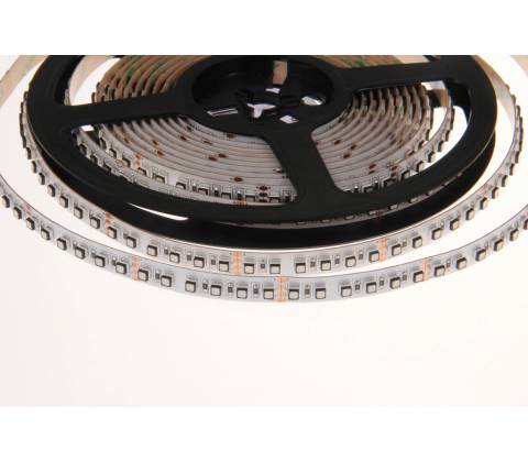 T-LED 082401