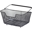 Basil base m