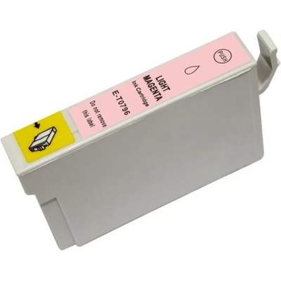 Compatible Epson T0796