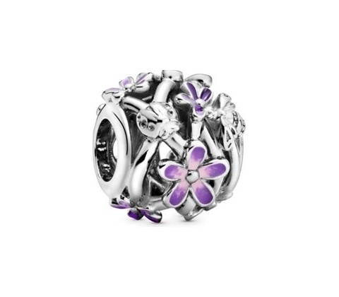 Pandora 798772C02