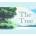The Tree