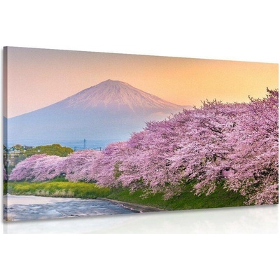 Obraz japonska sopka Fuji - 40x30