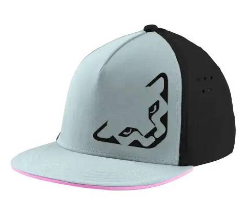 Dynafit Tech Trucker Cloud Blue