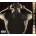 2Pac - The Best Of 2Pac: Pt. 1: Thug (2 LP) (602435217345)