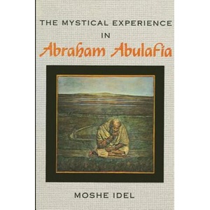 Mystical Experience in Abraham Abulafia | Moshe Idel (ISBN: 9780887065538)