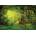 Educa - Puzzle He is in the woods - 500 piese