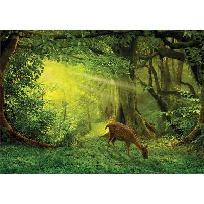 Educa - Puzzle He is in the woods - 500 piese