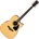 Ibanez AW70ECE-NT