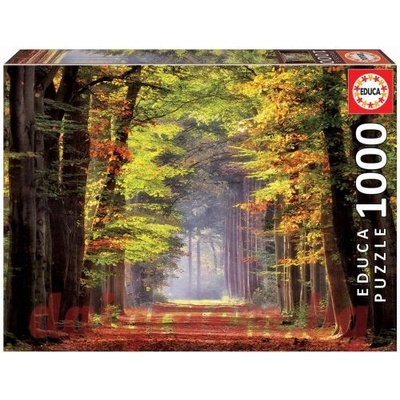 Educa Пъзел educa 19021 - 1000 части - Есенна разходка (edu19021)