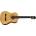 Tanglewood EMC