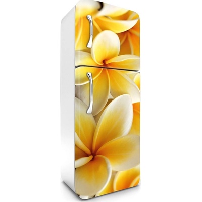 Dimex FR180-013 Fototapeta na lednici Plumeria 65 x 180 cm