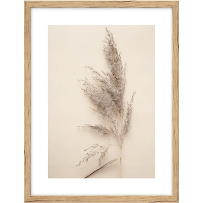 knor Картина 30x40 cm Grass - knor (K3040,078L13,15,038)