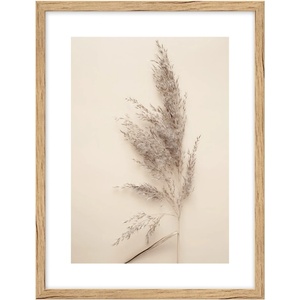 knor Картина 30x40 cm Grass - knor (K3040,078L13,15,038)