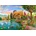 Bluebird Puzzle - Puzzle Lakeside Cottage II 2000 - 2 000 piese