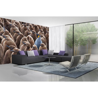 Dimex MA-5-0479 Samolepicí vliesová fototapeta na zeď Velká skupina tučňáků rozměry 375 x 250 cm