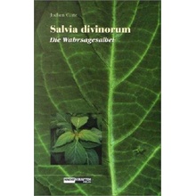 Salvia divinorum, Die Wahrsagesalbei