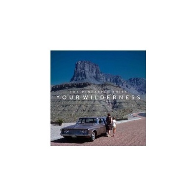 LP PINEAPPLE THIEF YOUR WILDERNESS