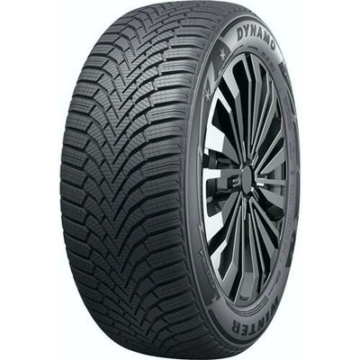 Dynamo Winter 195/65 R15 91T