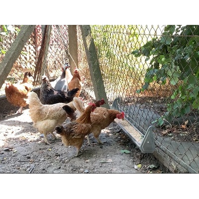 Contro Fratelli CF034.40 0046-XG Závěsné žlabové krmítko plechové 100 cm