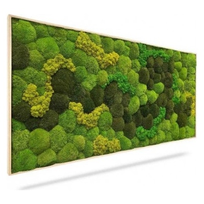 Machový obraz Light Anento, 120x60cm, drevený svetlohnedý rám