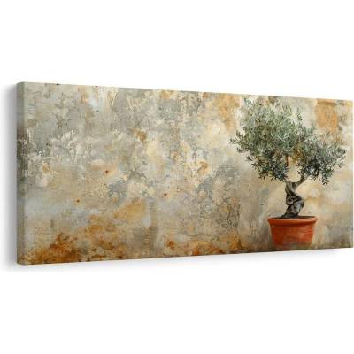 Obraz olivovník v květináči - 120x60