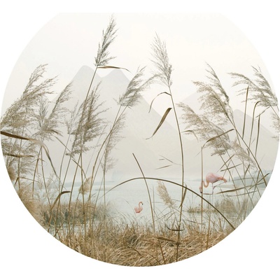 AG Design CR3304 Samolepicí vliesová fototapeta Reeds rozměry 140 x 140 cm