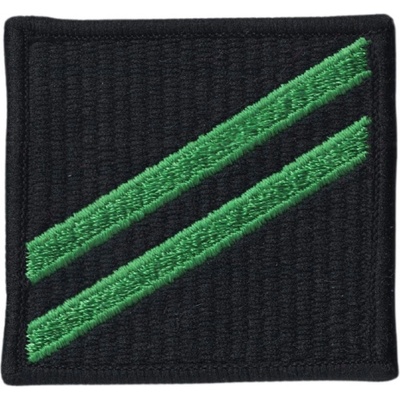 Nášivka US Army US Navy Airman Apprentice E-2 - čierna-zelená