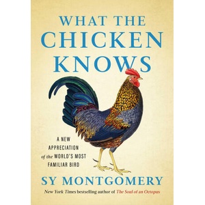 What the Chicken Knows | MONTGOMERY SY (ISBN: 9781668047361)
