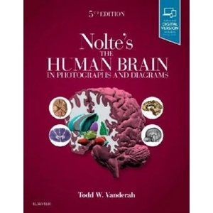Nolte's The Human Brain in Photographs and Diagrams | Todd Vanderah (ISBN: 9780323598163)