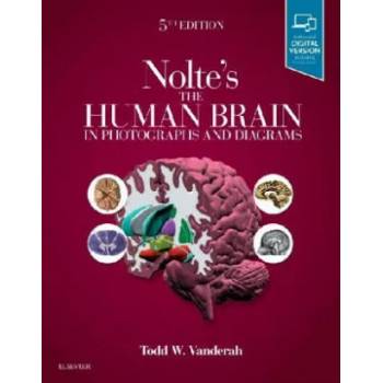 Image 1 of Nolte's The Human Brain in Photographs and Diagrams | Todd Vanderah