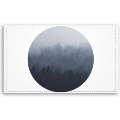 Fotoobraz 120x70 cm velký Forest in the fog