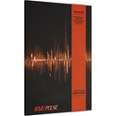 Treasure - Love Pulse - Rockchick Version (CD)