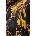 Versace Риза Versace Jeans Couture (79HAL201.NS671)