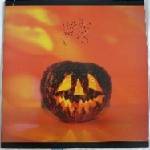 Sonic Youth - Walls Have Ears (Reissue) (Limited Edition) (Coloured) (2 LP) (0787996802312)