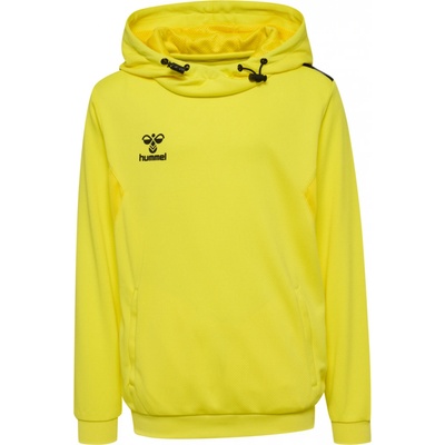 Hummel HML Authentic Pl Hoodie Kids 219977-5269