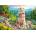 Castorland - Puzzle New generation II - 1 000 piese