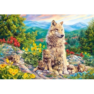 Castorland - Puzzle New generation II - 1 000 piese